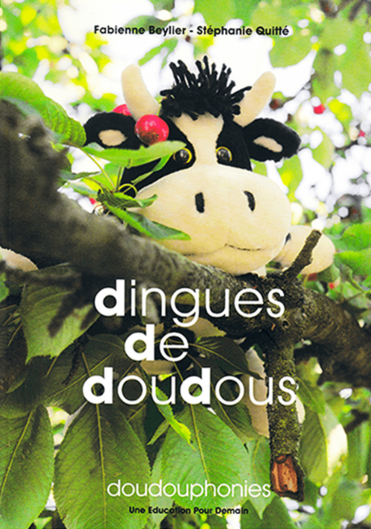 Livre Dingues de doudous et ses fiches