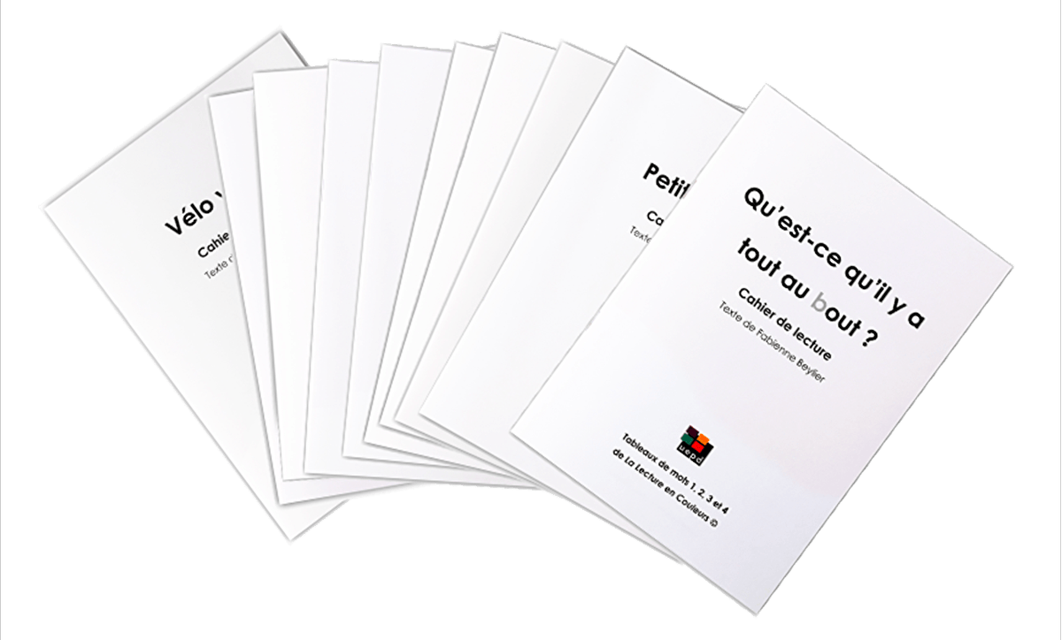 Ensemble de 10 cahiers de lecture